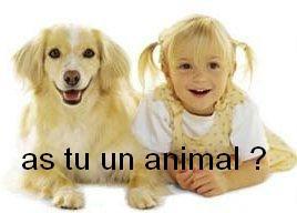 as tu un animal ?