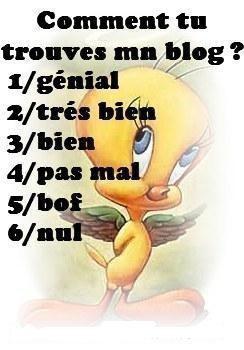 comment tu trouve mn blog ??